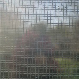 Meet your Posher, Ben